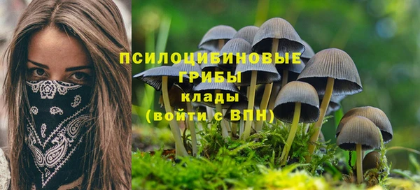молекула духа Липки