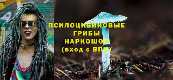 ALPHA PVP Костерёво