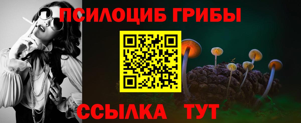 Галлюциногенные грибы GOLDEN TEACHER  Галлюциногенные грибы ЛСД  Вход с VPN  Новороссийск 